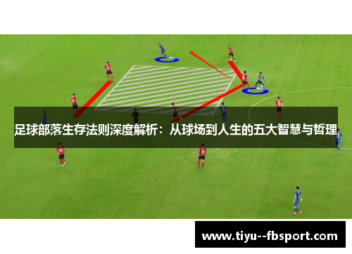 足球部落生存法则深度解析：从球场到人生的五大智慧与哲理
